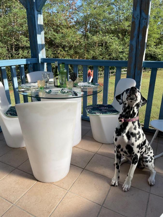 *A Setting Between Dordogne And Swimming Pool* Apartment Argentat Bagian luar foto